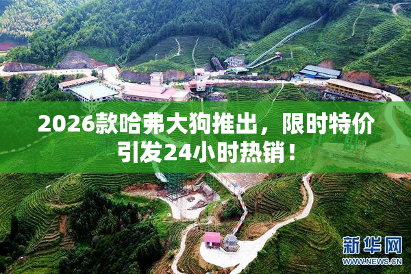 2026款哈弗大狗推出，限时特价引发24小时热销！
