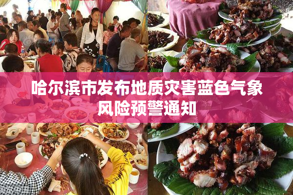 哈尔滨市发布地质灾害蓝色气象风险预警通知