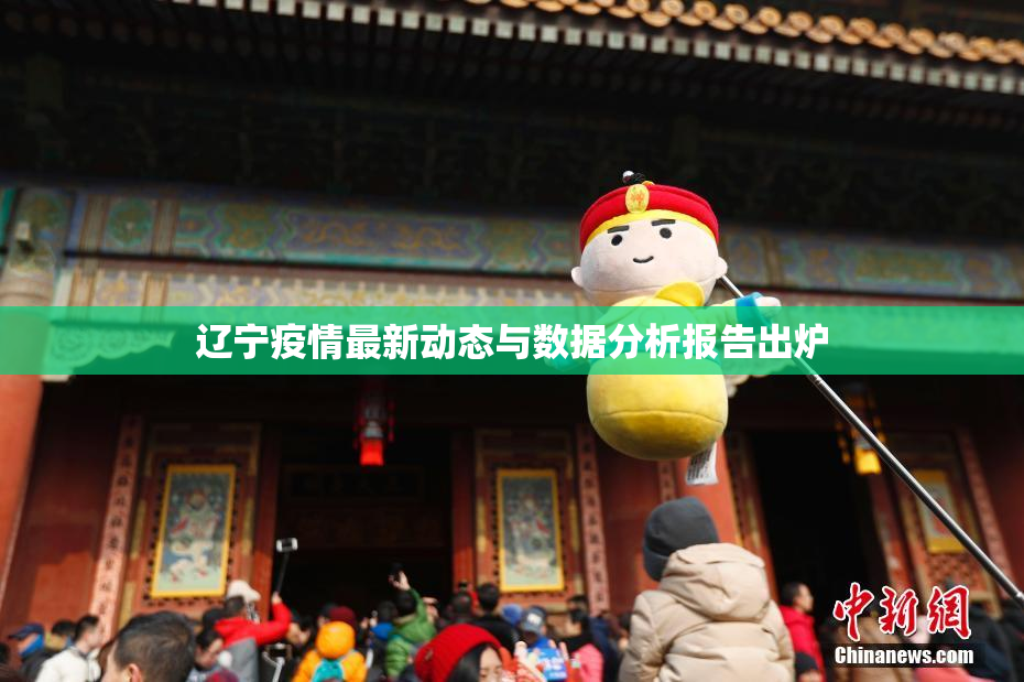 辽宁疫情最新动态与数据分析报告出炉