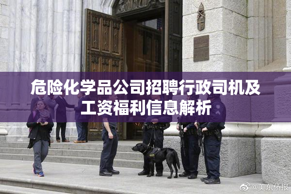 危险化学品公司招聘行政司机及工资福利信息解析