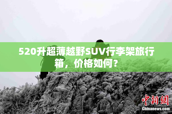520升超薄越野SUV行李架旅行箱，价格如何？