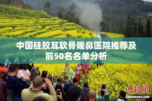 中国硅胶耳软骨隆鼻医院推荐及前50名名单分析