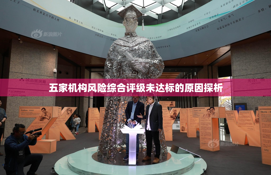 五家机构风险综合评级未达标的原因探析