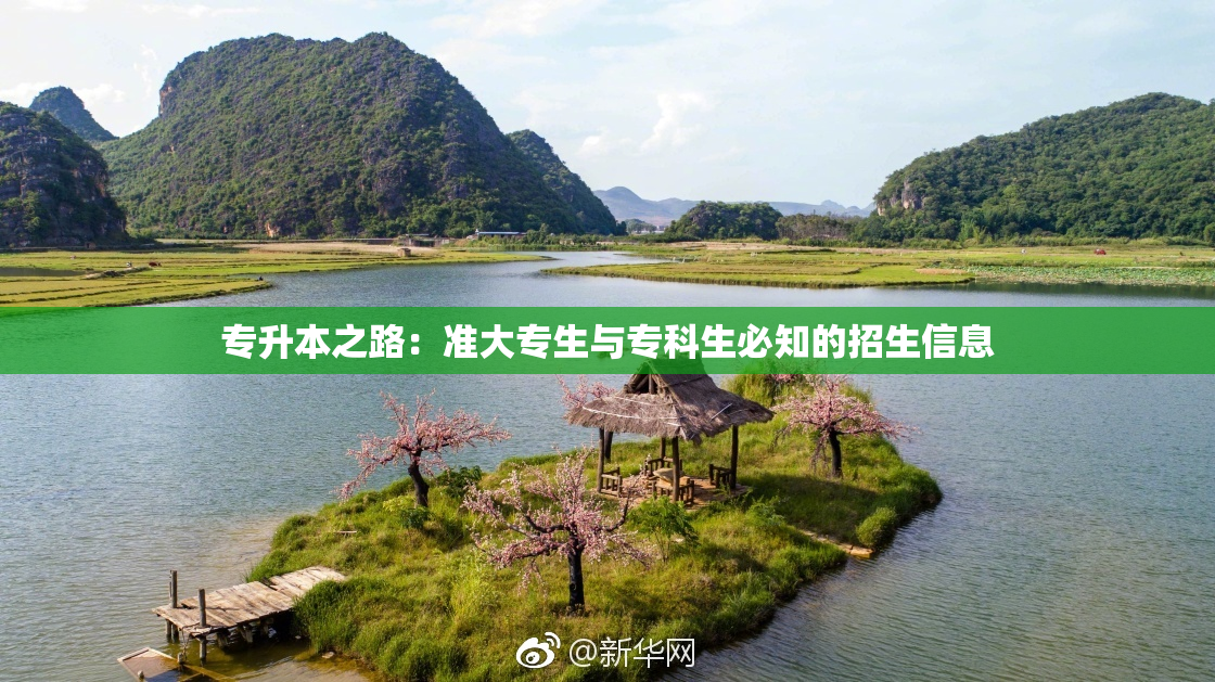 专升本之路：准大专生与专科生必知的招生信息