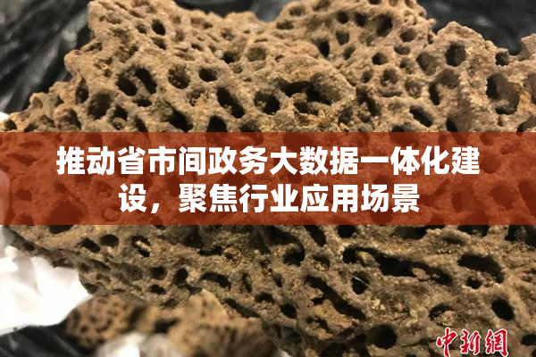 推动省市间政务大数据一体化建设，聚焦行业应用场景