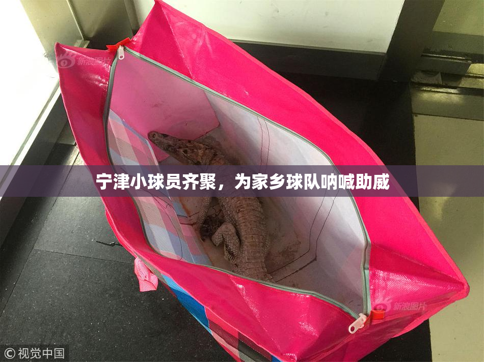 宁津小球员齐聚，为家乡球队呐喊助威