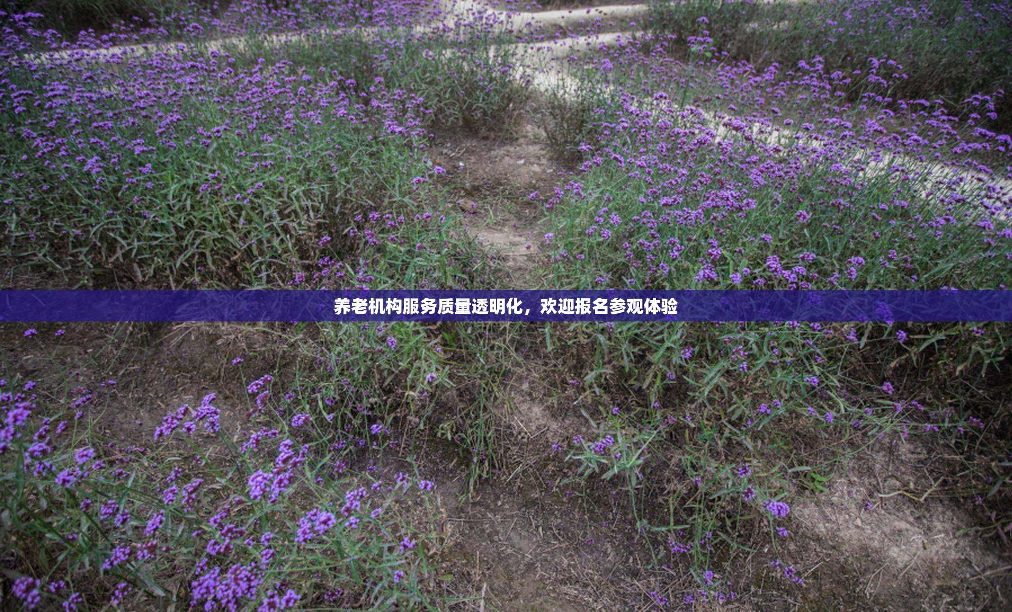 养老机构服务质量透明化，欢迎报名参观体验
