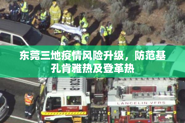 东莞三地疫情风险升级，防范基孔肯雅热及登革热