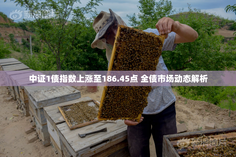 中证1债指数上涨至186.45点 全债市场动态解析