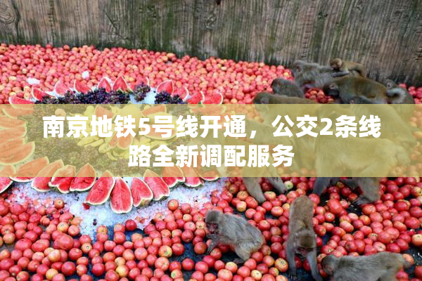 南京地铁5号线开通，公交2条线路全新调配服务