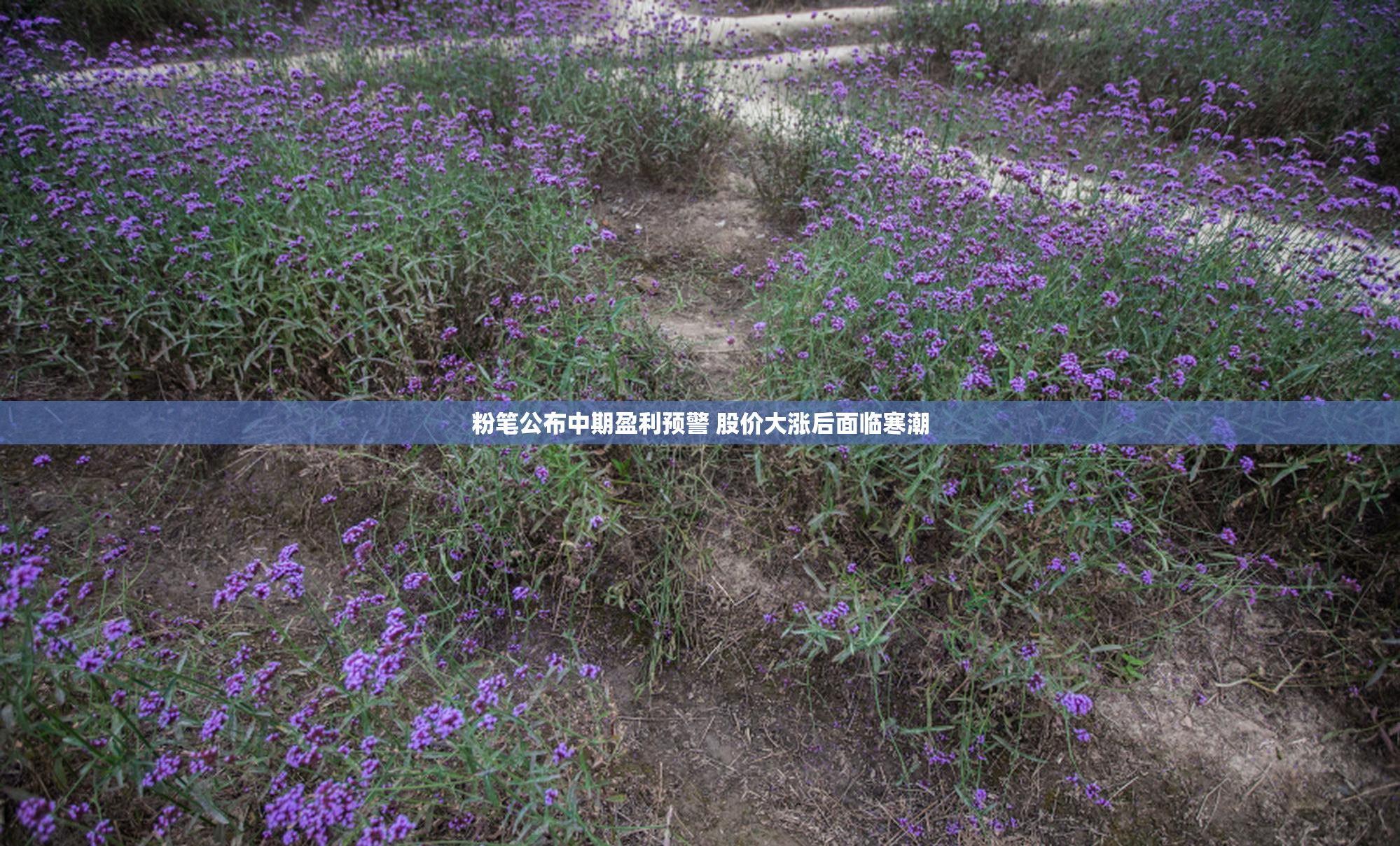粉笔公布中期盈利预警 股价大涨后面临寒潮