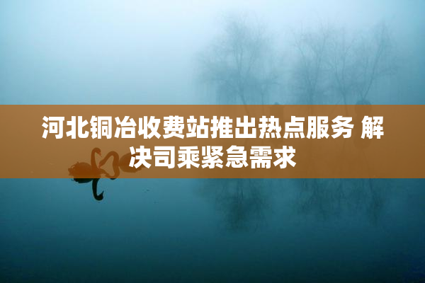 河北铜冶收费站推出热点服务 解决司乘紧急需求