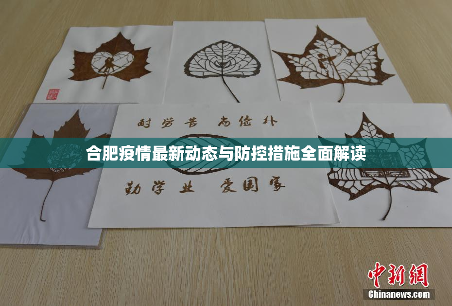 合肥疫情最新动态与防控措施全面解读