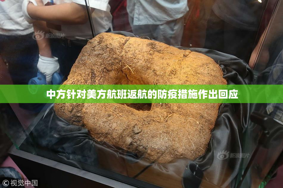 中方针对美方航班返航的防疫措施作出回应