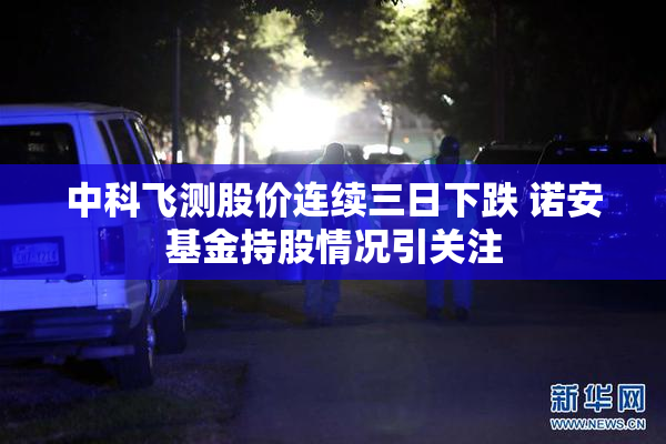中科飞测股价连续三日下跌 诺安基金持股情况引关注