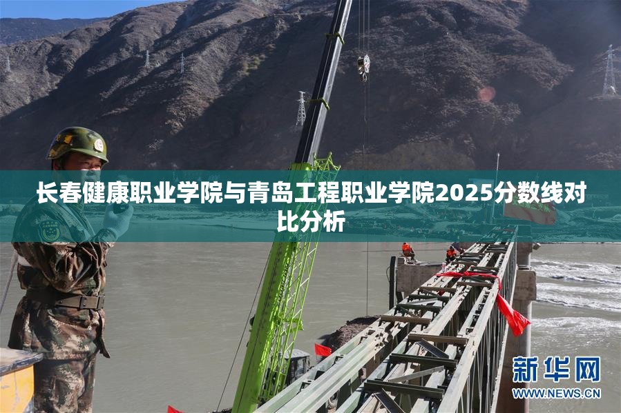 长春健康职业学院与青岛工程职业学院2025分数线对比分析