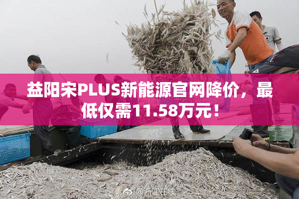 益阳宋PLUS新能源官网降价，最低仅需11.58万元！
