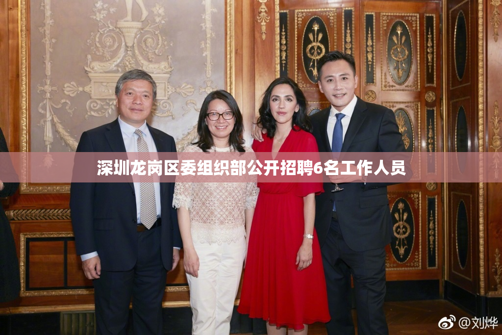 深圳龙岗区委组织部公开招聘6名工作人员