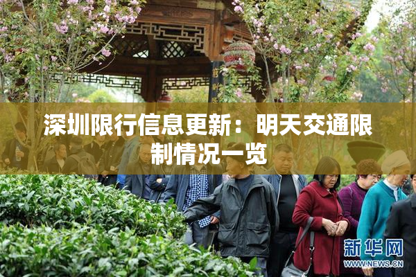 深圳限行信息更新：明天交通限制情况一览