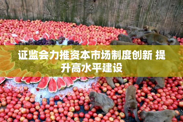 证监会力推资本市场制度创新 提升高水平建设