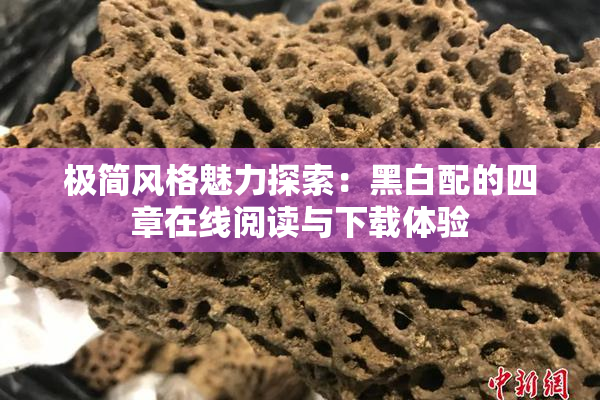 极简风格魅力探索：黑白配的四章在线阅读与下载体验