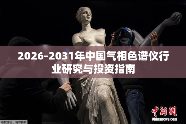 2026-2031年中国气相色谱仪行业研究与投资指南