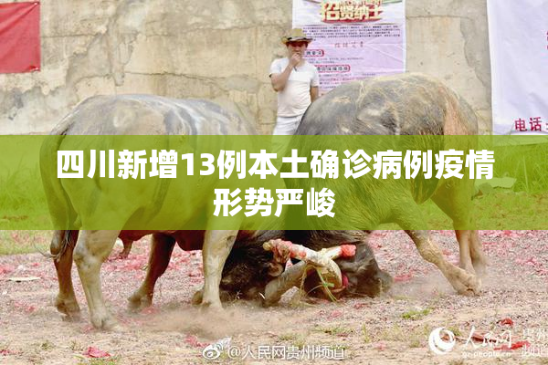 四川新增13例本土确诊病例疫情形势严峻