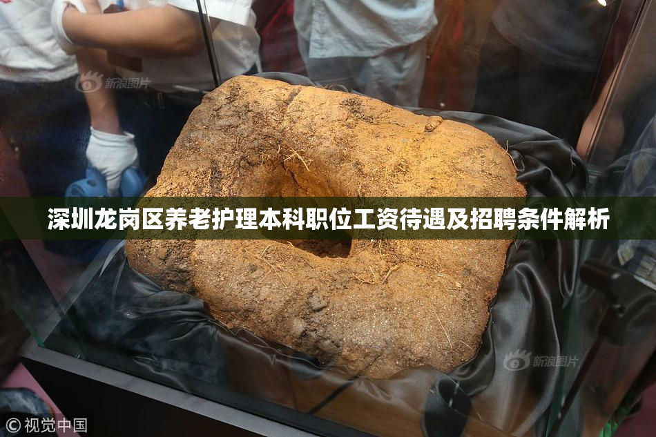 深圳龙岗区养老护理本科职位工资待遇及招聘条件解析