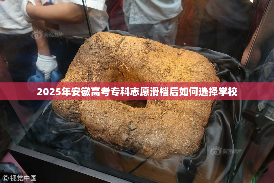 2025年安徽高考专科志愿滑档后如何选择学校