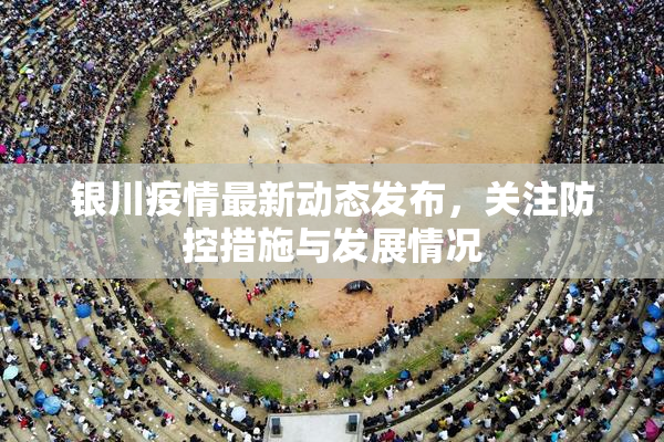 银川疫情最新动态发布，关注防控措施与发展情况