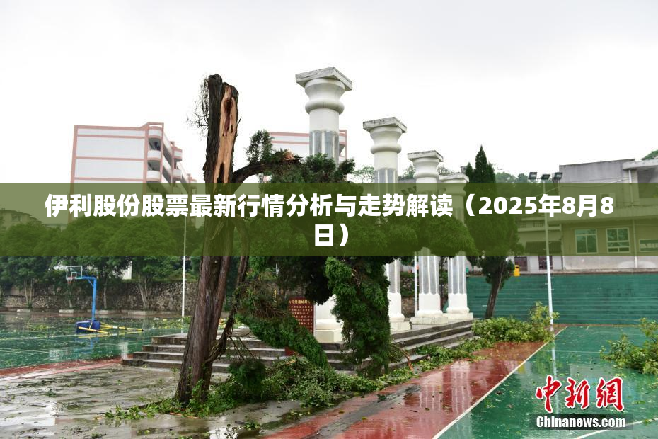 伊利股份股票最新行情分析与走势解读（2025年8月8日）