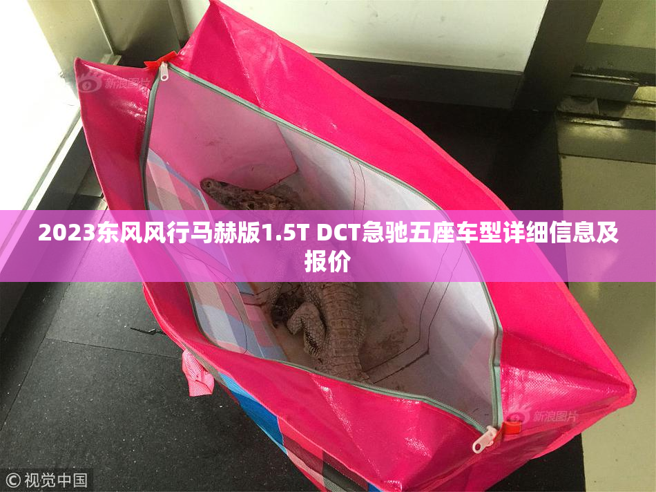 2023东风风行马赫版1.5T DCT急驰五座车型详细信息及报价