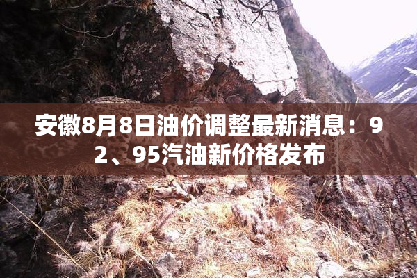安徽8月8日油价调整最新消息：92、95汽油新价格发布