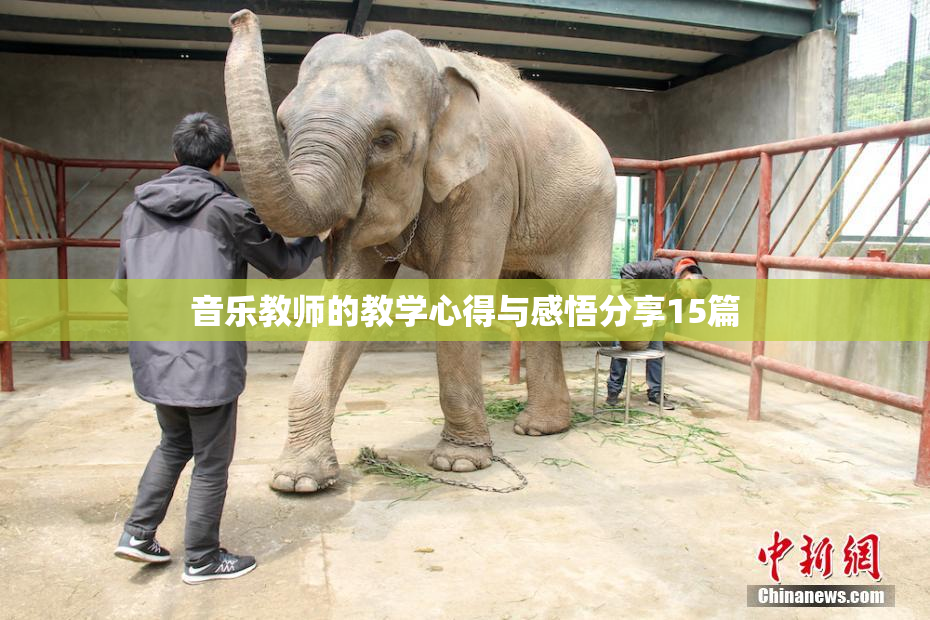 音乐教师的教学心得与感悟分享15篇