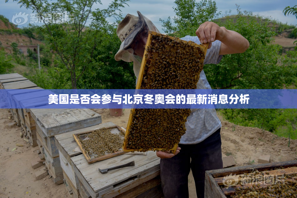美国是否会参与北京冬奥会的最新消息分析