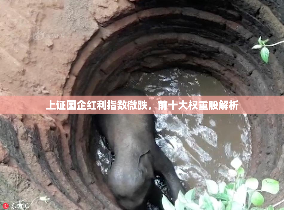 上证国企红利指数微跌，前十大权重股解析