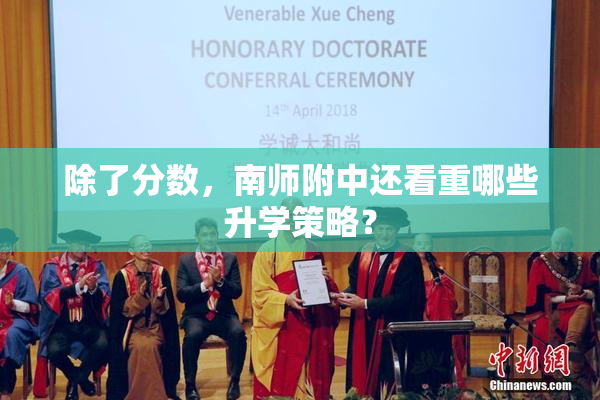 除了分数，南师附中还看重哪些升学策略？