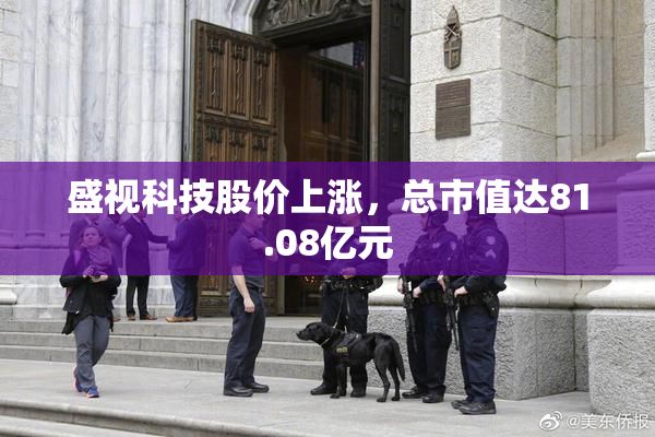 盛视科技股价上涨，总市值达81.08亿元