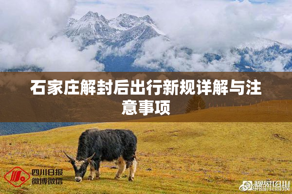 石家庄解封后出行新规详解与注意事项