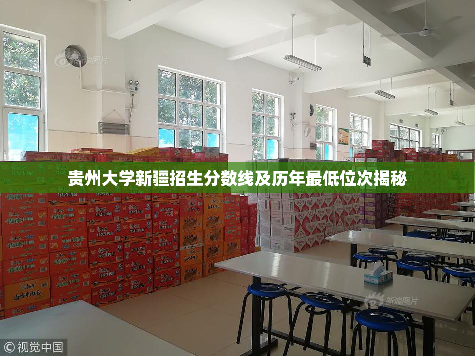贵州大学新疆招生分数线及历年最低位次揭秘