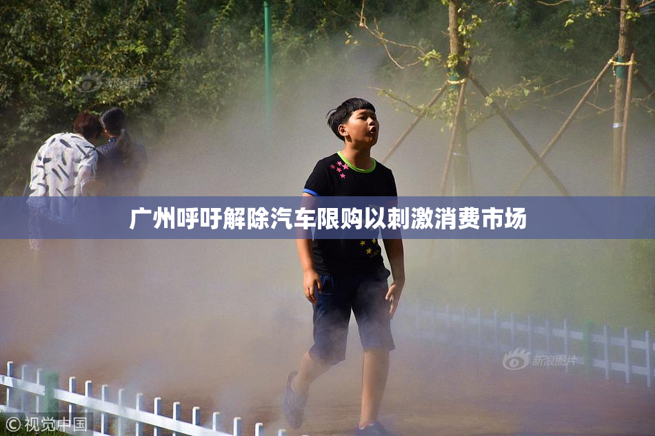 广州呼吁解除汽车限购以刺激消费市场