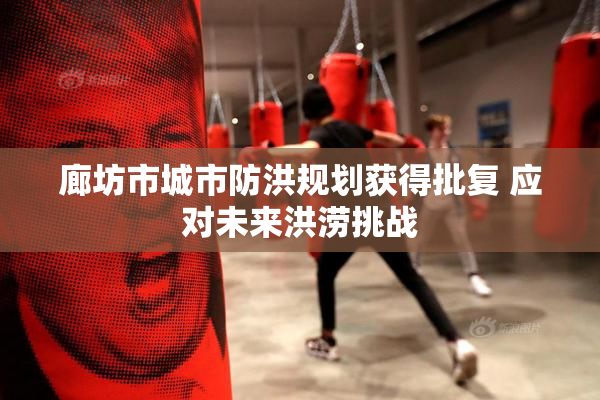 廊坊市城市防洪规划获得批复 应对未来洪涝挑战