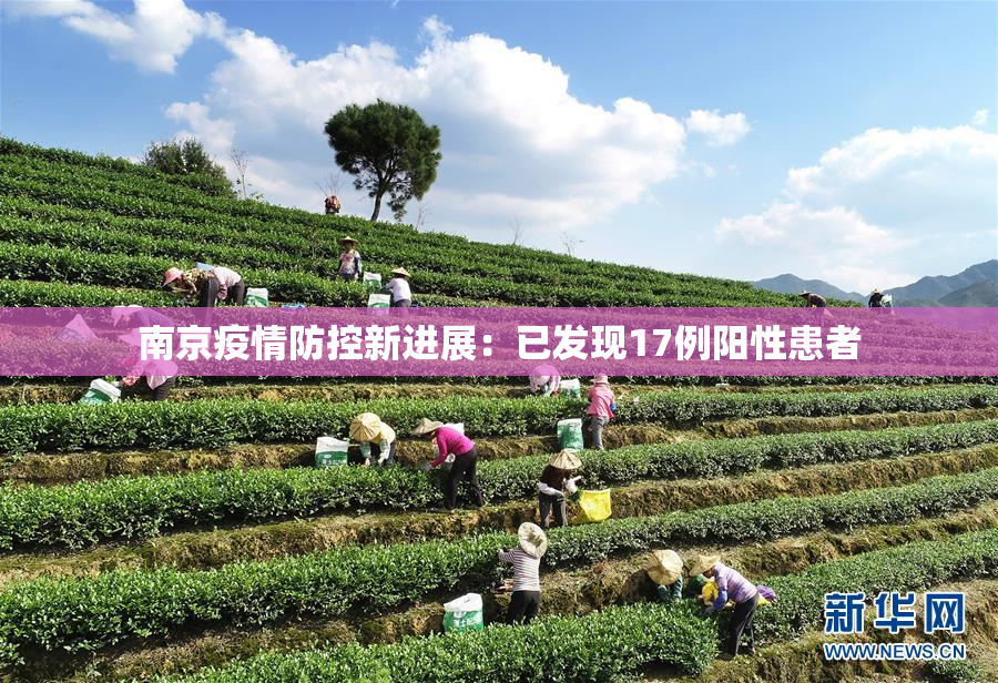 南京疫情防控新进展：已发现17例阳性患者