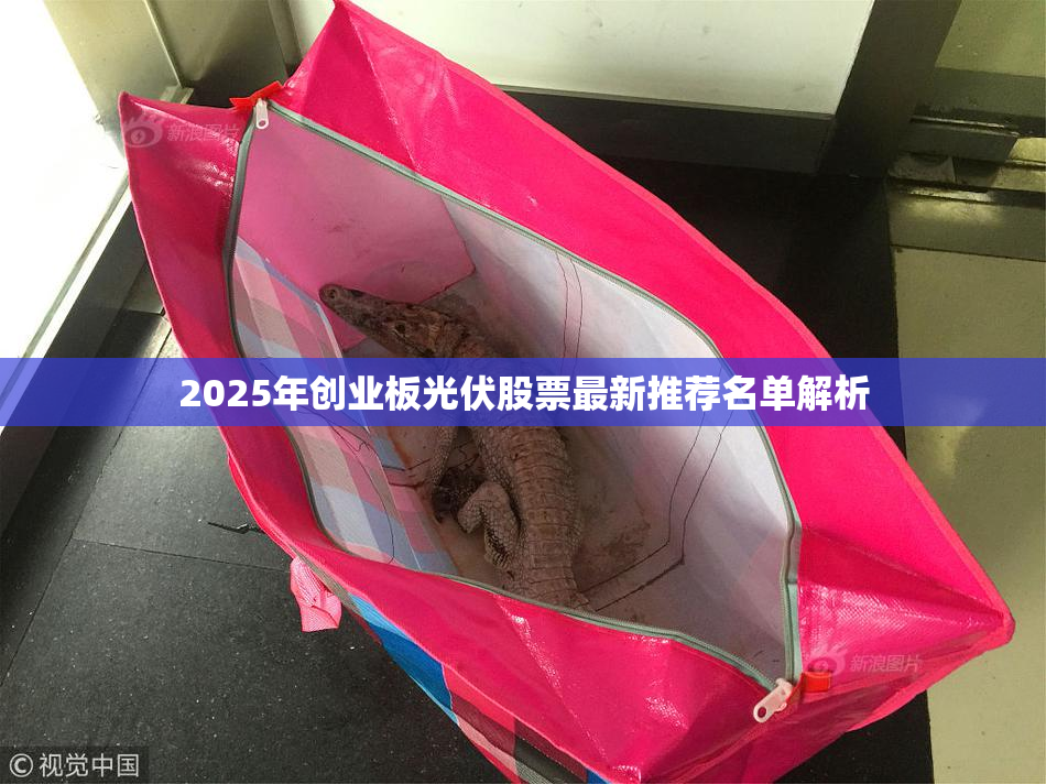 2025年创业板光伏股票最新推荐名单解析