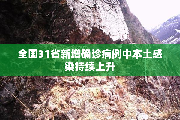 全国31省新增确诊病例中本土感染持续上升