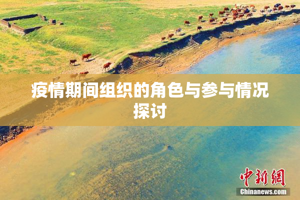 疫情期间组织的角色与参与情况探讨