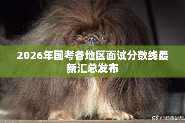 2026年国考各地区面试分数线最新汇总发布