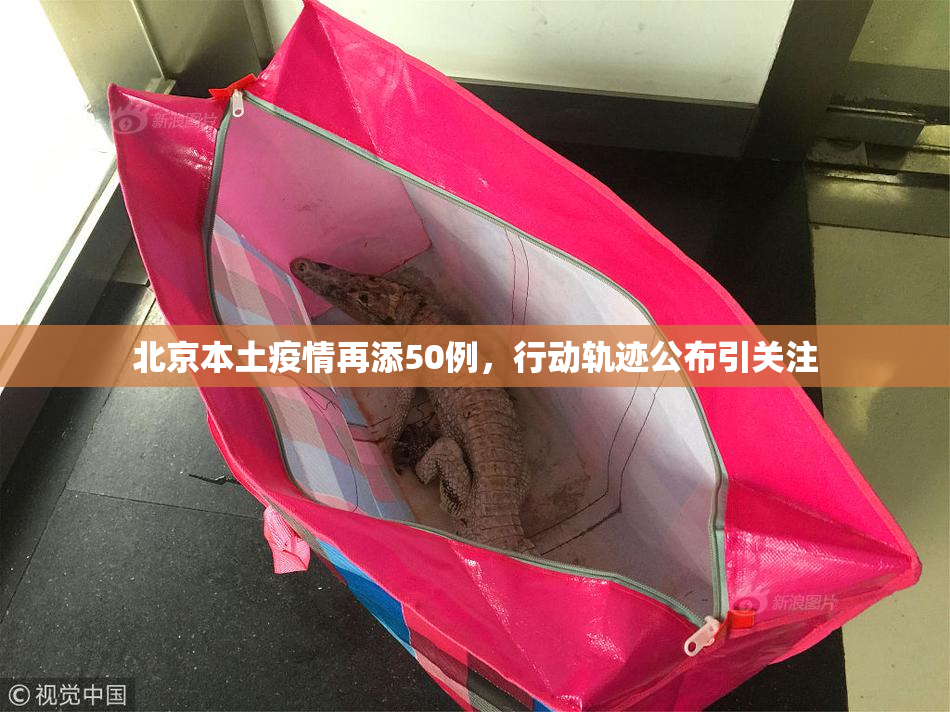 北京本土疫情再添50例，行动轨迹公布引关注