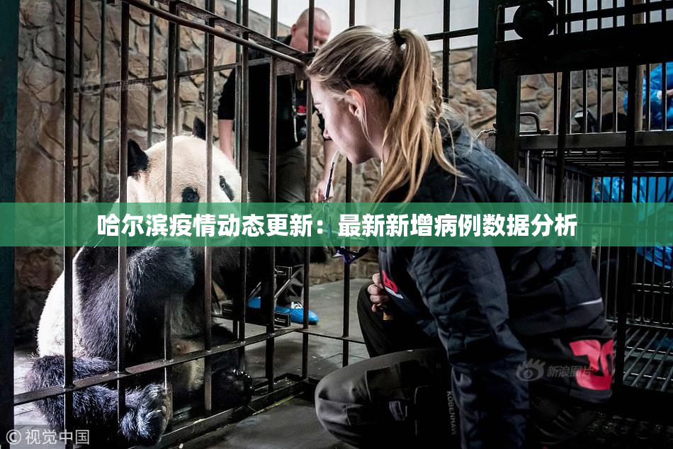 哈尔滨疫情动态更新：最新新增病例数据分析