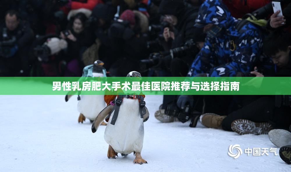 男性乳房肥大手术最佳医院推荐与选择指南